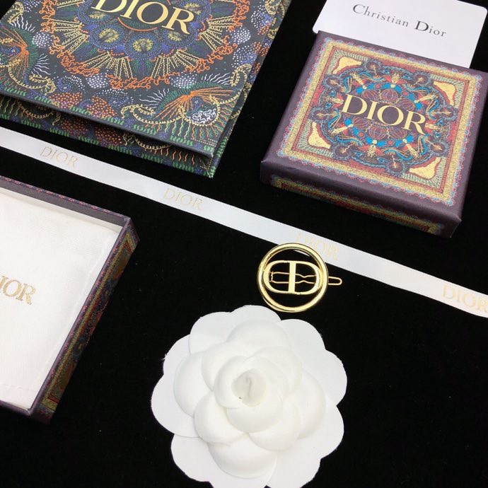 Christian Dior Hairpins